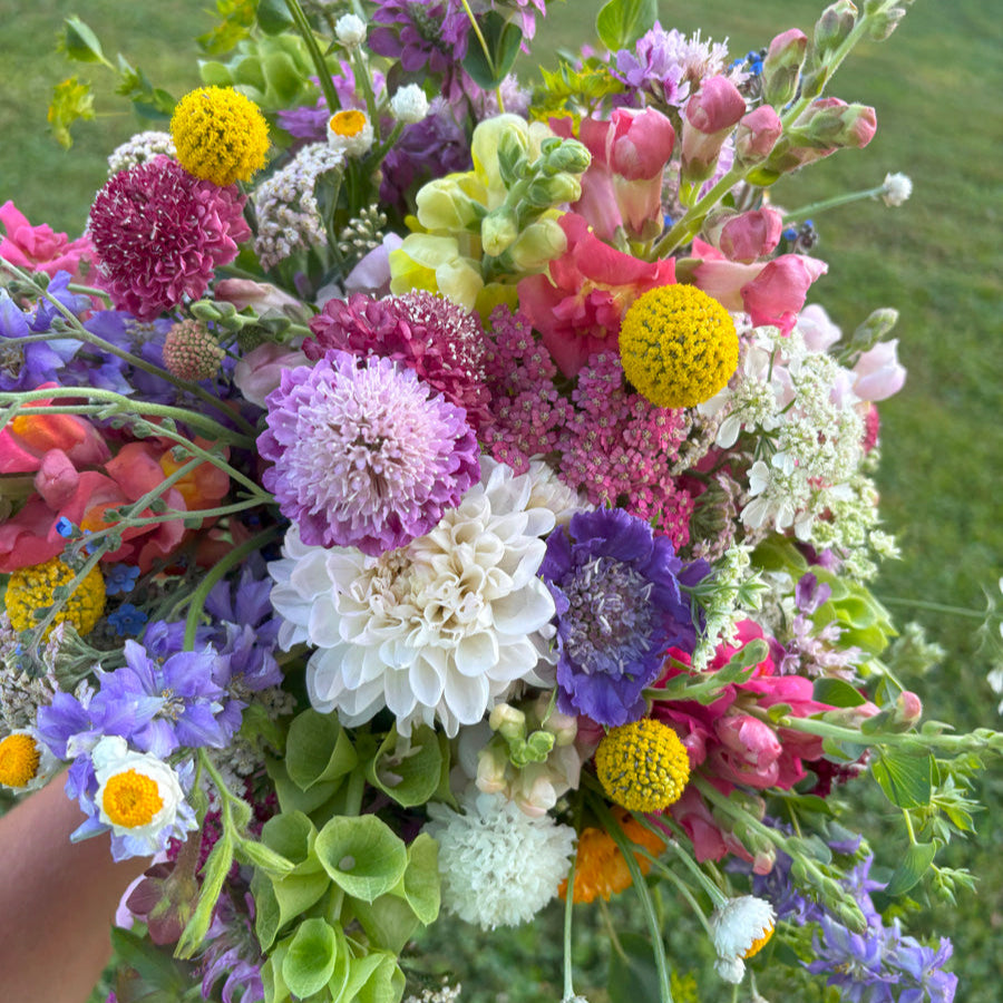 Bouquet of craspedia, scabiosa, dahlias, snapdragons, bells of Ireland, and bupeurlum in pink, purple, white, and yellow.