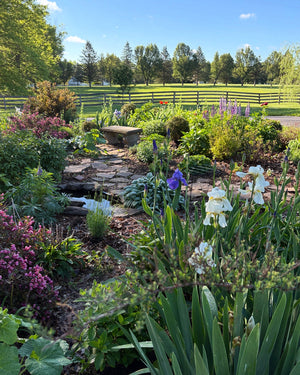 Wildlife pond and bench in a cottage garden