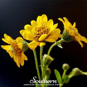 Meadow Arnica Seeds