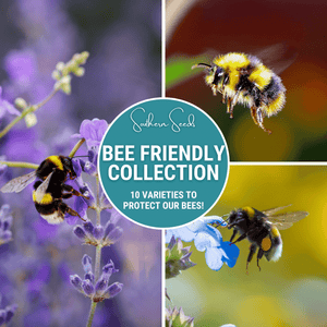 Bee Friendly Seed Collection
