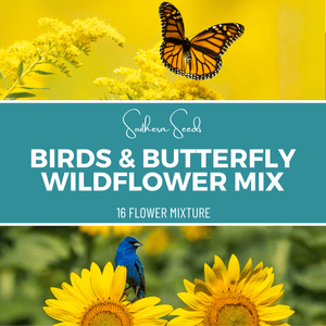 Birds & Butterfly Wildflower Seed Mix