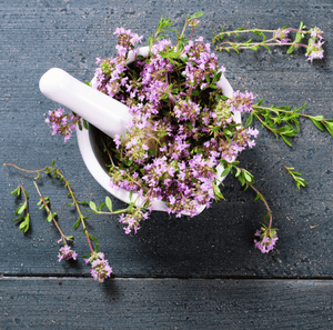 Creeping Thyme Seeds