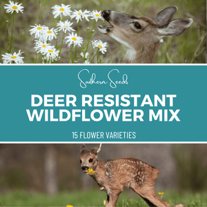 Deer Resistant Wildflower Seed Mix