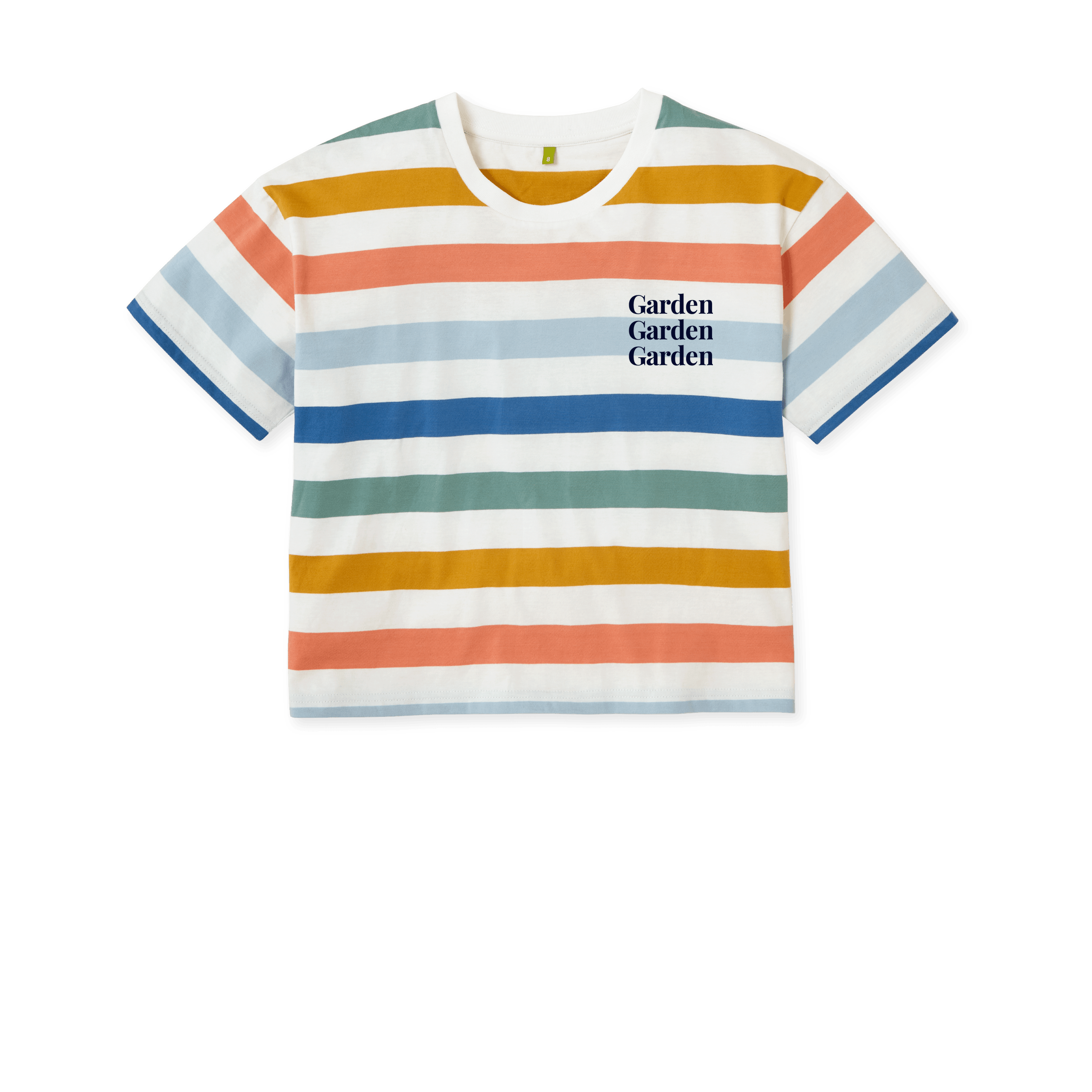 Multicolour Stripes Printed T-shirt Front
