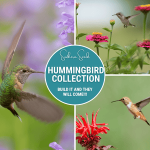 Hummingbird Garden Seed Collection