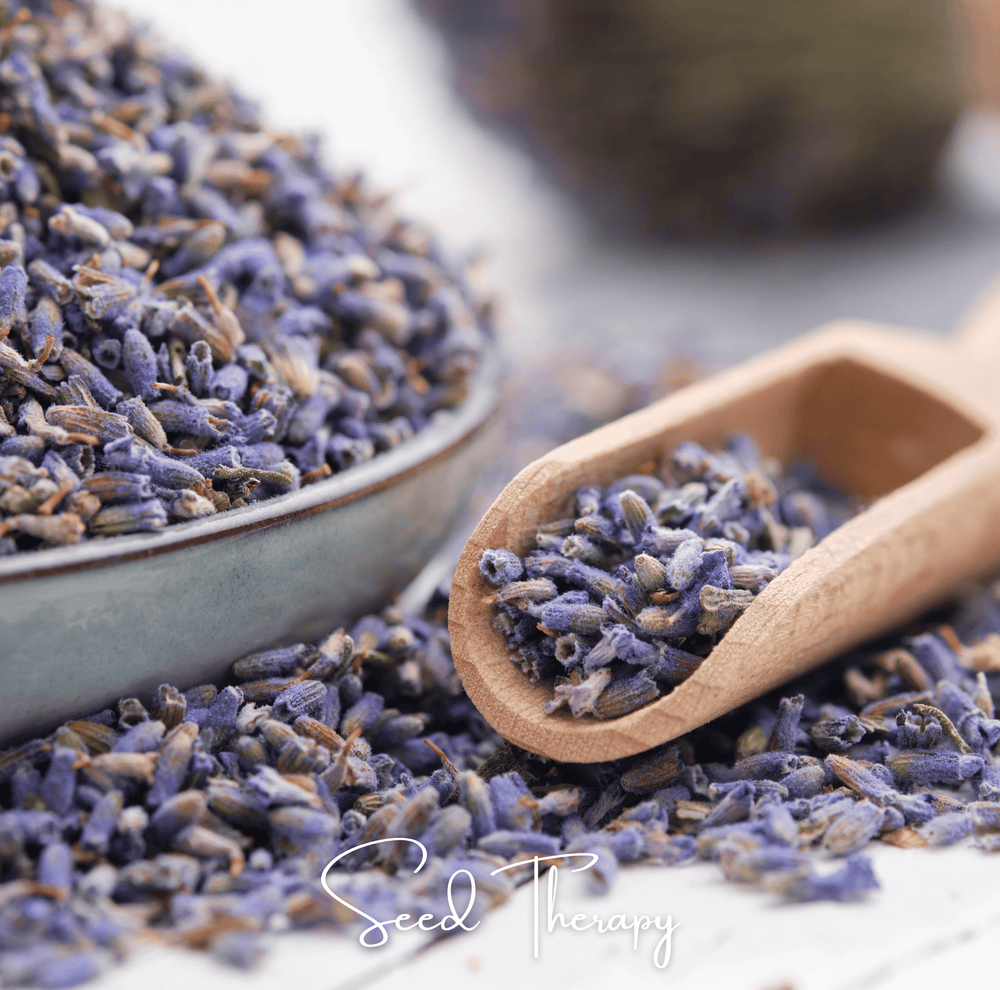 English Lavender Seeds
