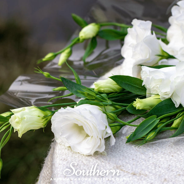 Sapphire White Lisianthus Seeds