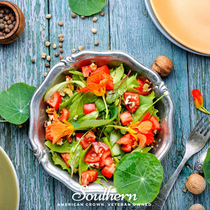 Jewel Nasturtium Mix Seeds