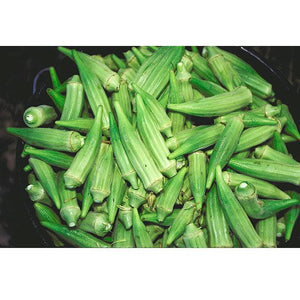 Clemson Spineless 80 Okra Seeds (Organic)