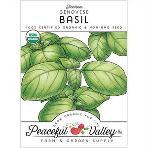 Genovese Basil Seeds (Organic)