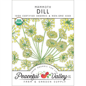 Mammoth Dill Seeds (Organic)