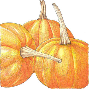 Small Sugar Pumpkin Seeds (Organic)