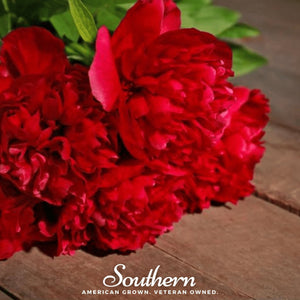 Red Peony Poppy Seeds