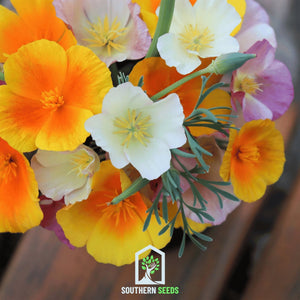 California Poppy Seed Mix