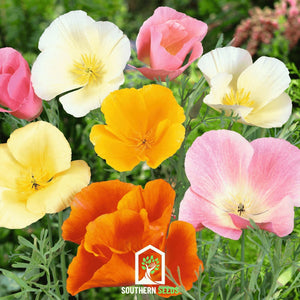 California Poppy Seed Mix