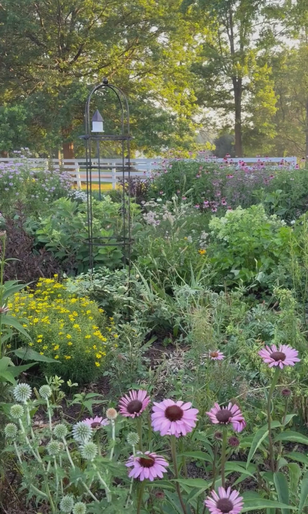 obelisk with climbing rose, tall white bird feeder in a summer cottage garden