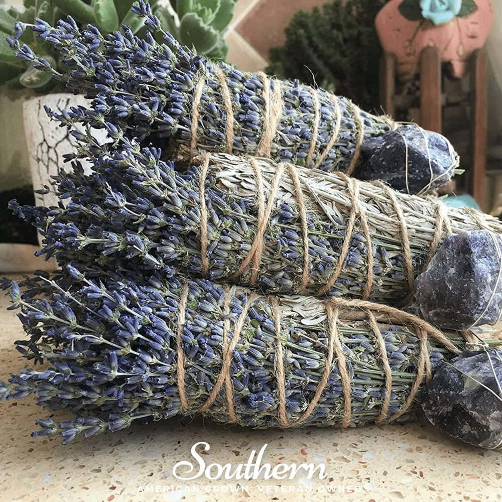 Blue Sage Seeds