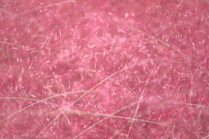 Pink Muhly Grass Seeds