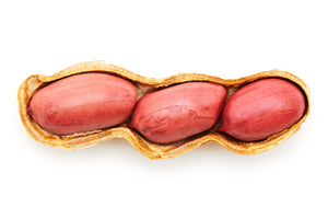 Tennessee Red Peanut (Valencia Type) Seeds