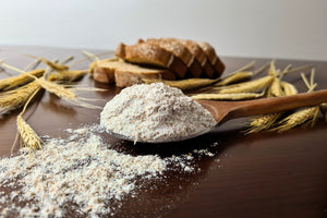 Wrens Abruzzi WINTER RYE Cover Crop Seeds