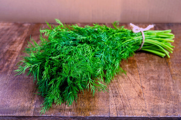 Bouquet Dill Seeds