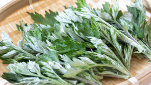 Japanese Mugwort Seeds