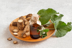 Great Burdock Seeds