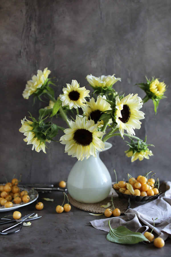 Italian White Sunflower Seeds