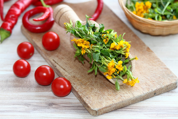 Mexican Marigold Seeds