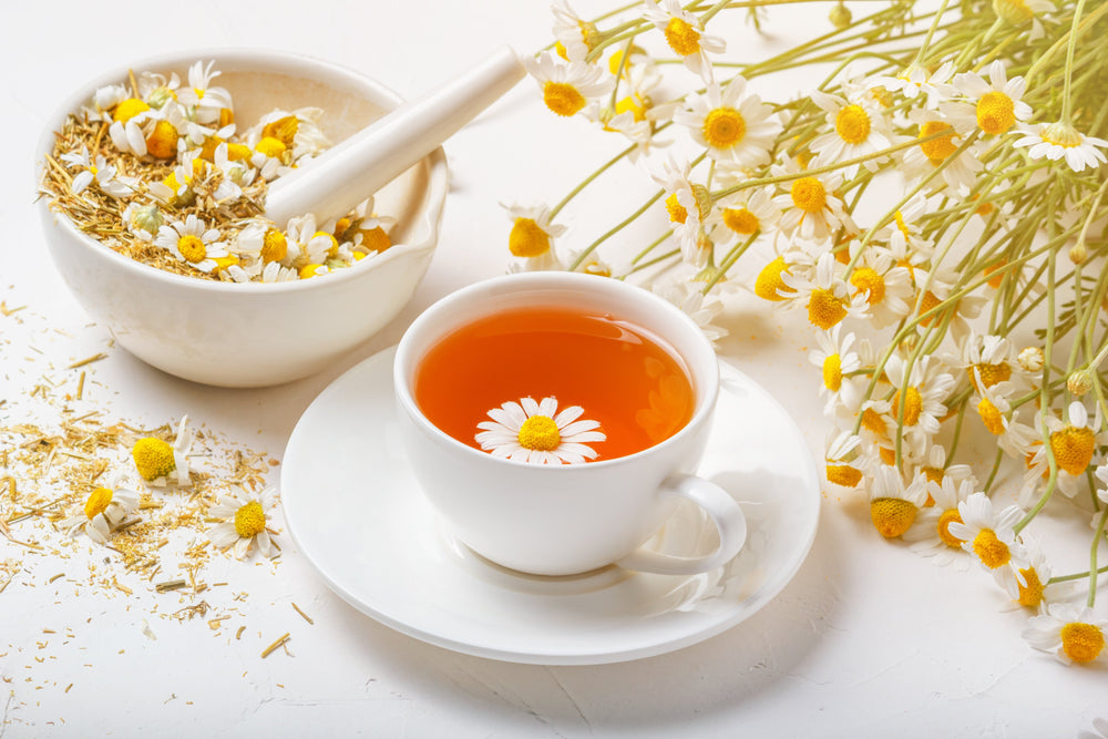 German Chamomile Seeds