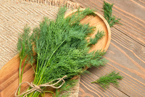 Bouquet Dill Seeds