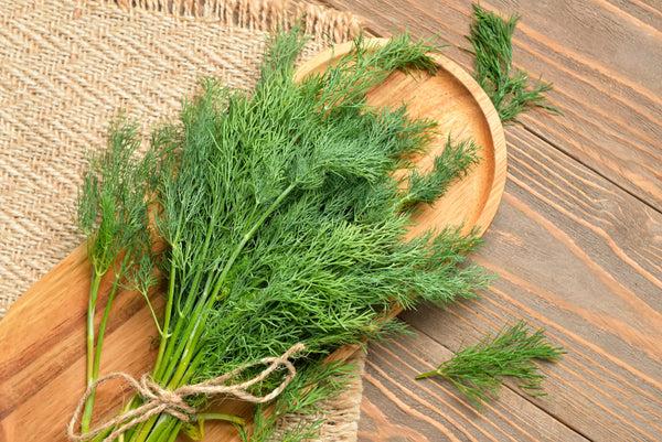 Bouquet Dill Seeds