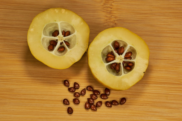 Common Culinary Quince Seeds