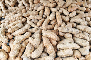 Tennessee Red Peanut (Valencia Type) Seeds