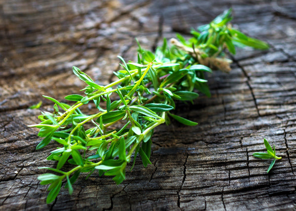 Summer Savory Seeds