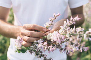 White Swan Clary Sage Seeds