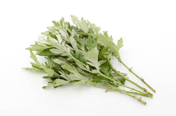 Japanese Mugwort Seeds