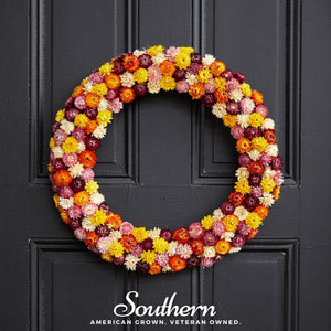 Strawflower Mix Seeds