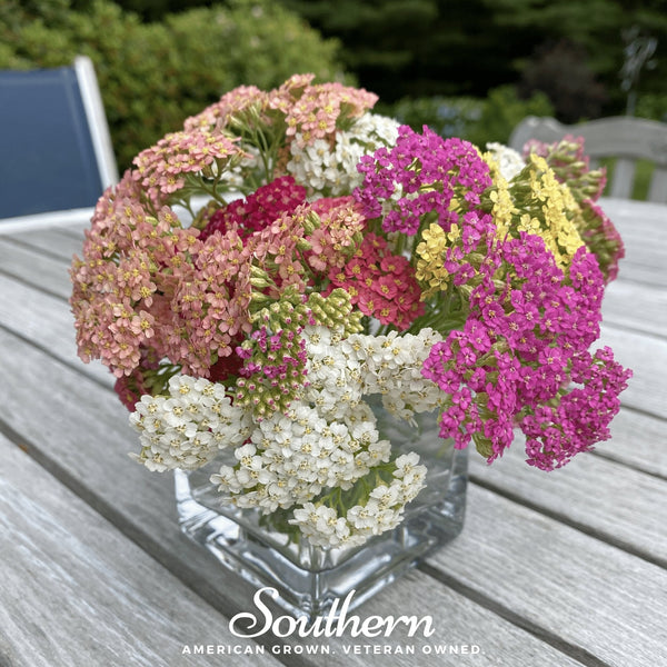 Summer Berries Yarrow Mix Seeds