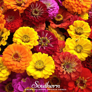 California Giants Zinnia Seeds